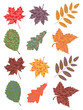 vector set of colorful autumn leaves vector set of colorful autumn leaves