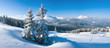 winter mountain panorama