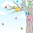 Image : Bird house on the tree