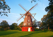 Red windmill