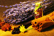 background of various colorful spices