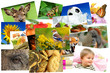 Fotogalerie 7