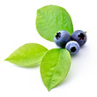 blueberry