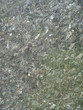 Granit Textur