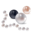 Vector collection of different pearls Vector collection of different pearls