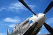 P51 Mustang Oltimer Airplane