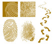 Fingerprints and Footprints Fingerprints and Footprints