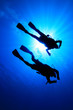 Scuba Diving