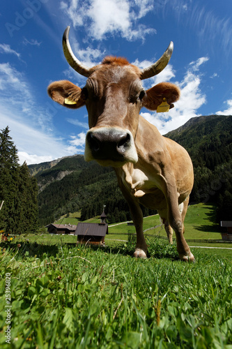 Foto: BERGLANDRIND BERGLANDRIND