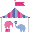 elephants in the circus