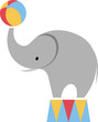 elephant in the circus