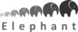 Elephants