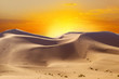 Sahara desert