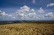 Landscape since the top of a hill
