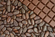 Cocoa and chocolate Cocoa and chocolate