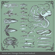 Vector set: fish and sea food