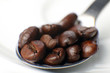 Kaffeebohnen Kaffeebohnen