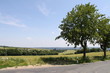 Schöne Landschaft im Rheingau