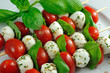 Tomate - Mozzarella Spießchen