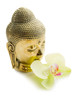buddha with orchid- buddha con orchidea