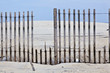 fence for protection of the dunes at the beautiful natural beach