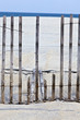 fence for protection of the dunes at the beautiful natural beach
