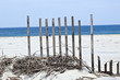 fence for protection of the dunes at the beautiful natural beach