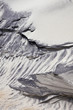 wind forms structures in the dunes