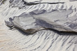 wind forms structures in the dunes