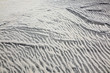 wind forms structures in the dunes at the beach