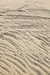 wind forms structures in the dunes at the beach