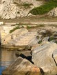 Vieil escalier descendant dans l'eau