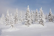 Winterlandschaft