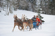 Photo: austria, salzburger land, couple transporting christmas tree on sleigh, smiling, portrait austria, salzburger land, couple transporting christmas tree on sleigh, smiling, portrait