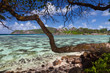 spiaggia delle seychelles spiaggia delle seychelles
