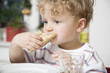 germany, berlin, boy (3-4) eating bread roll, portrait