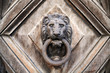 Door Knocker