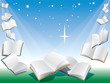 Vetor: Flying books Flying books