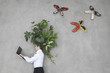 businessman with laptop, foliage plants on head, side view, portrait, elevated view