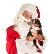 Foto: Santa with dog Santa with dog