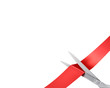 Scissors cut ribbon, large corner version