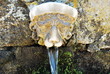 fontana