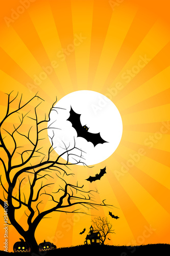 Halloween night Halloween night