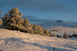 Nieve en Sierra Nevada