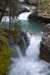 Flowing River in the Canadian Rockies Flowing River in the Canadian Rockies