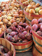 Bushels of fresh picked onions at a roadside market Bushels of fresh picked onions at a roadside market