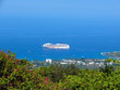 Looking at cruise ship down from  a coffee farm on Mauna Loa