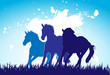 vector horses