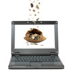 Foto: laptop with coins flying in bag laptop with coins flying in bag