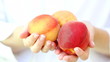 A woman's hands full of peaches